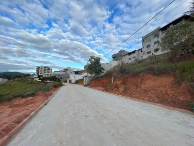 Terreno para Venda, em Tefilo Otoni, bairro Jardim Iracema