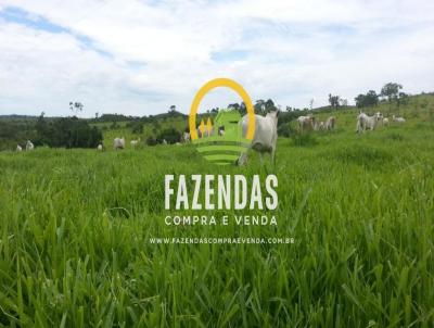 Fazenda para Venda, em Ipameri, bairro Zona Rural