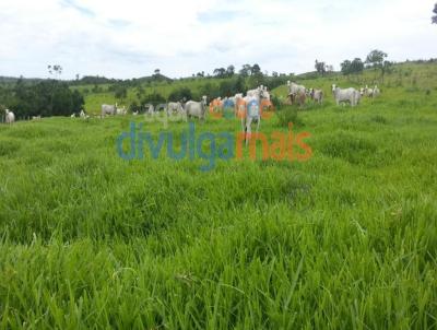 Fazenda para Venda, em Ipameri, bairro Zona rural