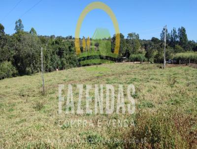 Fazenda para Venda, em Catalo, bairro Zona Rural