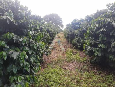 Stio para Venda, em Botelhos, bairro Perimetro rural de Palmeiral