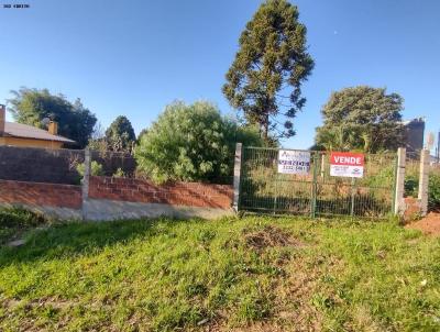 Terreno para Venda, em Vacaria, bairro Petrpolis