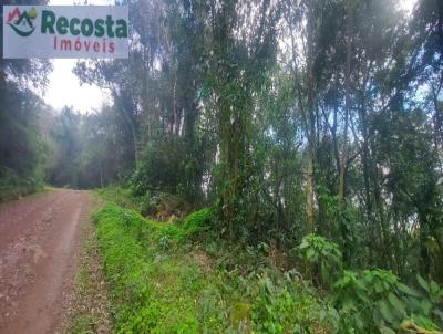 Chcara para Venda, em So Francisco de Paula, bairro FEIXE