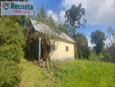 Chcara para Venda, em So Francisco de Paula, bairro MANGUEIRA DE PEDRA