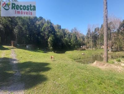 Chcara para Venda, em So Francisco de Paula, bairro SO FRANCISCO DE PAULA