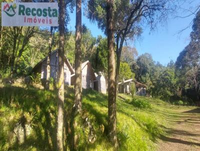 Chcara para Venda, em So Francisco de Paula, bairro CARAPINA