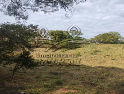 Chcara para Venda, em Santana da Boa Vista, bairro Santana da Boa Vista