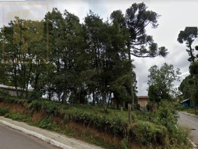 Terreno para Venda, em Canela, bairro São Rafael