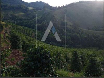 Stio para Venda, em Ibitira de Minas, bairro Perimetro Rural de Ibitira de Minas