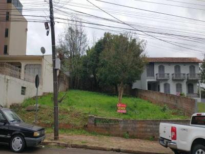 Terreno para Venda, em Francisco Beltro, bairro CENTRO