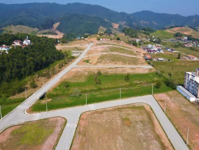 Terreno para Venda, em Antnio Carlos, bairro Centro