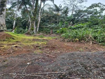 Chcara para Venda, em Guaramirim, bairro Amizade