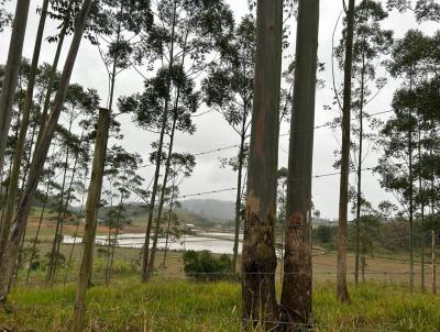 Chcara para Venda, em Guaramirim, bairro Tibagi