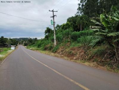 rea para Venda, em Montenegro, bairro Santos Reis