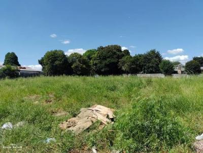Terreno para Venda, em Guarapuava, bairro Vila bela