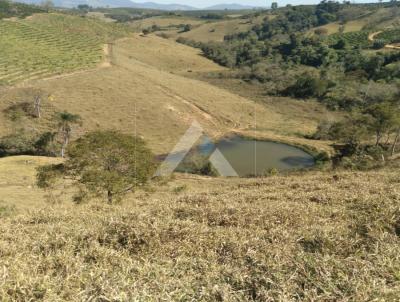 Stio para Venda, em Botelhos, bairro Perimetro rural de Palmeiral