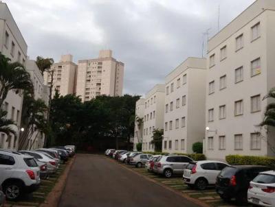 Apartamento para Venda, em Campinas, bairro Jardim Miranda, 2 dormitrios, 1 banheiro, 1 vaga