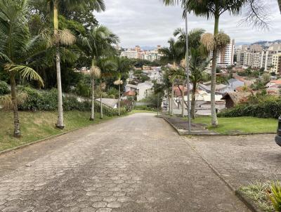 Terreno para Venda, em Florianpolis, bairro Crrego Grande