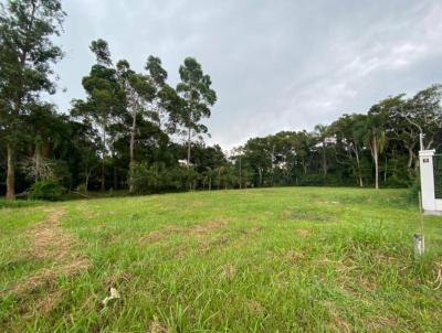 Terreno para Venda, em Florianpolis, bairro Santo Antnio de Lisboa