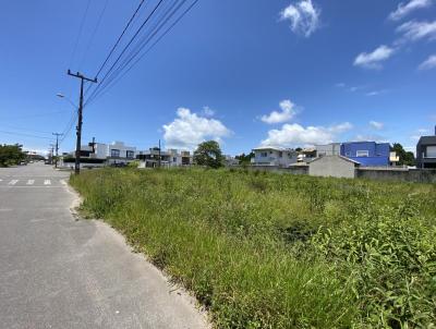 Terreno para Venda, em Florianpolis, bairro Campeche