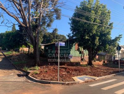 Casa para Venda, em Santa Rosa, bairro Oliveira, 3 dormitrios, 1 banheiro, 1 vaga