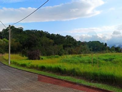 Terreno para Venda, em Maca, bairro Nova Cidade