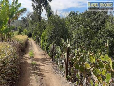 Stio para Venda, em Trs Coroas, bairro Linha 28