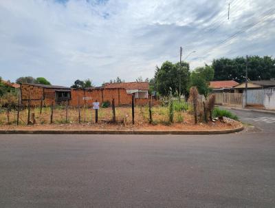 Terreno para Venda, em Pirapozinho, bairro Santa Rosa