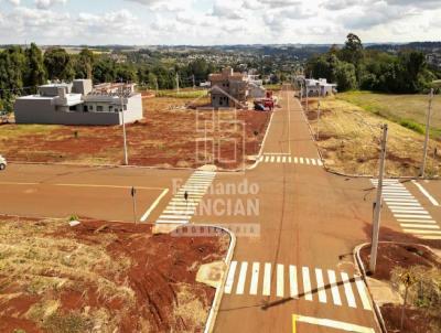 Terreno para Venda, em Santa Rosa, bairro So Francisco