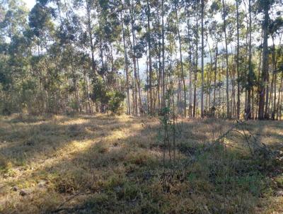 Terreno para Venda, em Munhoz, bairro rea Rural