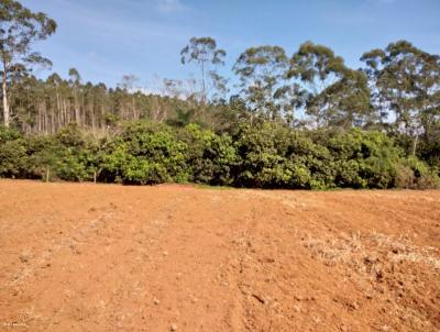 Terreno para Venda, em Mogi das Cruzes, bairro Cocuera