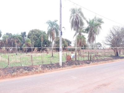 Chcara para Venda, em Ponta Por, bairro Jardim Botnico