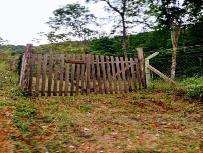 Stio para Venda, em Canelinha, bairro Moura