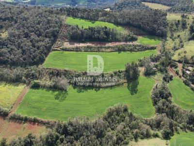 rea Rural para Venda, em Marcelino Ramos, bairro interior