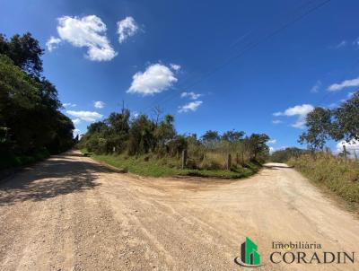 rea Comercial para Venda, em Colombo, bairro Centro