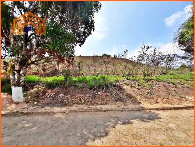 Lote para Venda, em Lima Duarte, bairro Manejo