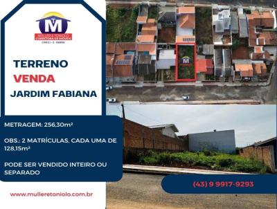 Terreno para Venda, em Arapoti, bairro Jardim Fabiane