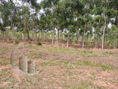 Stio para Venda, em Charqueada, bairro zona rural, 2 dormitrios, 2 banheiros, 2 vagas