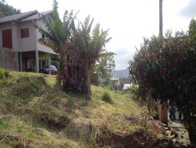 Terreno para Venda, em Parob, bairro Centro