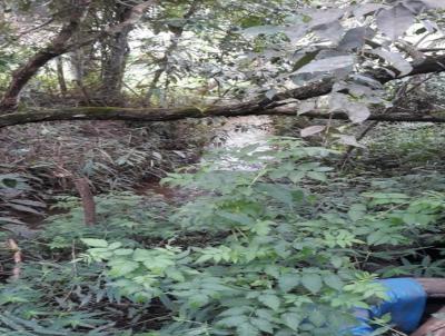 Chcara para Venda, em Santa Brbara, bairro Morro Queimado