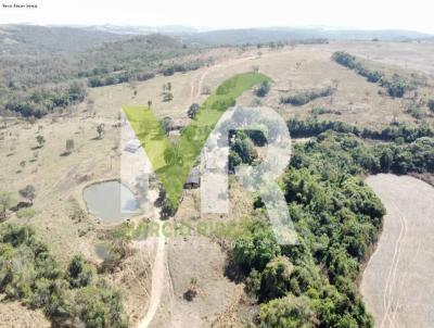 Fazenda para Venda, em Ipameri, bairro Zona Rural, 2 dormitrios, 1 banheiro, 1 vaga
