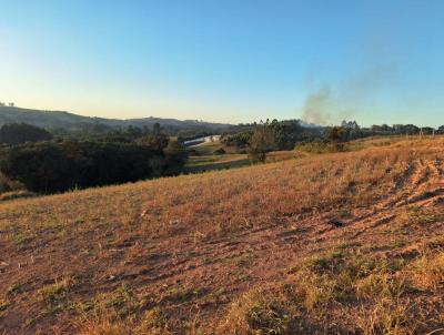 Terreno para Venda, em Bueno Brando, bairro rea Rural