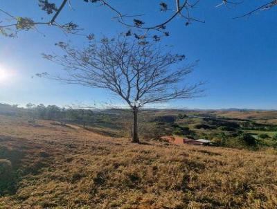 Terreno para Venda, em Cataguases, bairro 