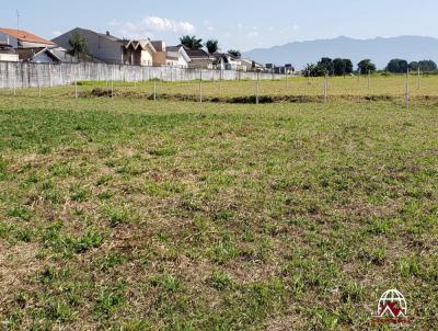 rea para Venda, em Trememb, bairro Flor Do Vale