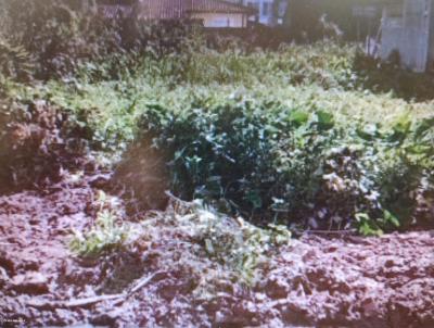 Terreno para Venda, em Bertioga, bairro Morada da Praia