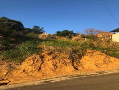 Terreno para Venda, em Leopoldina, bairro Quinta Residncia