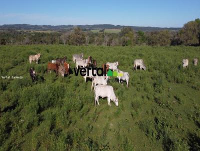 rea Rural para Venda, em Roque Gonzales, bairro Interior - Rural - pecuria - agricultura - bovino - reflorestamento - lavoura