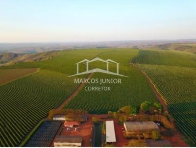 Fazenda para Venda, em Abaet, bairro ZONA RURAL