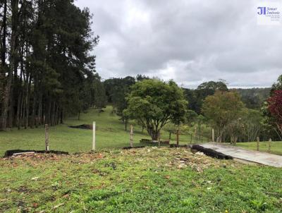 Chcara para Venda, em , bairro Cip, 1 dormitrio, 3 banheiros