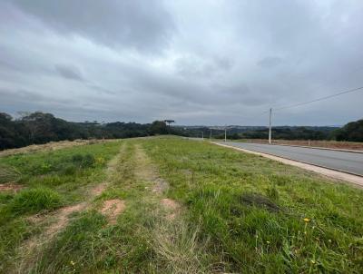 Terreno para Venda, em Campo Largo, bairro Botiatuva